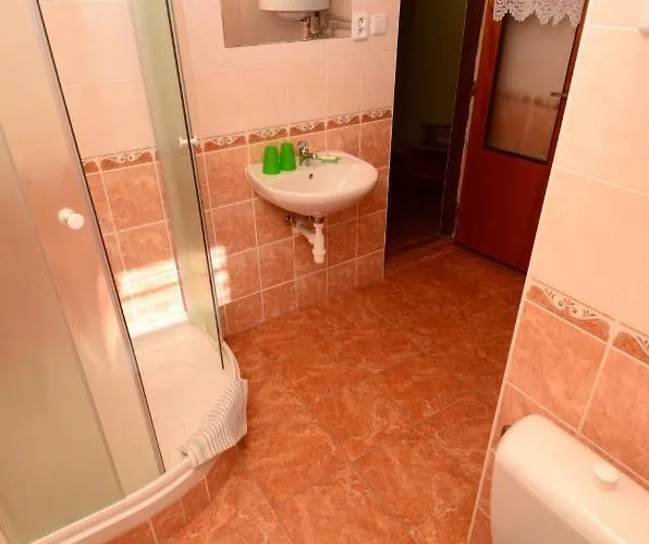 Vladimir 3* Janske Lazne
