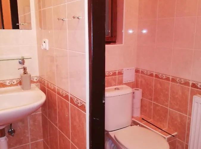 Vladimir 3* Janské Lázně