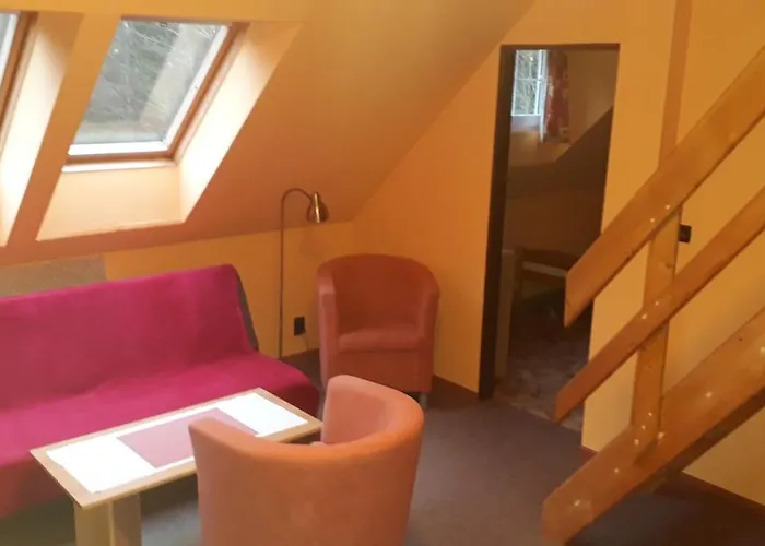 Vladimir Gasthuis Janské Lázně