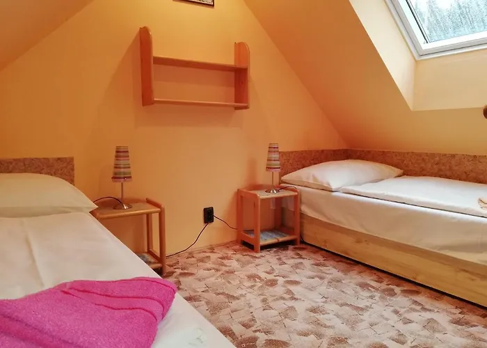 Vladimir Gasthuis Janské Lázně