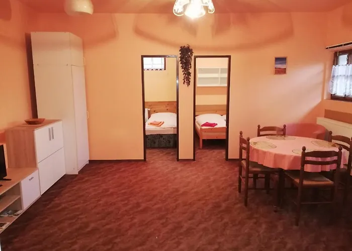 Vladimir 3* Janské Lázně