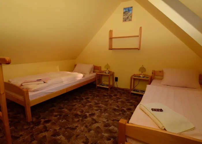 Vladimir Gasthuis Janské Lázně