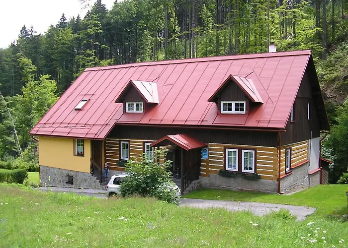 Vladimir